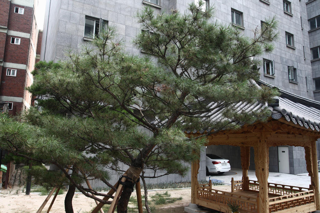 Fortune Hostel Jongno Сеул Екстериор снимка